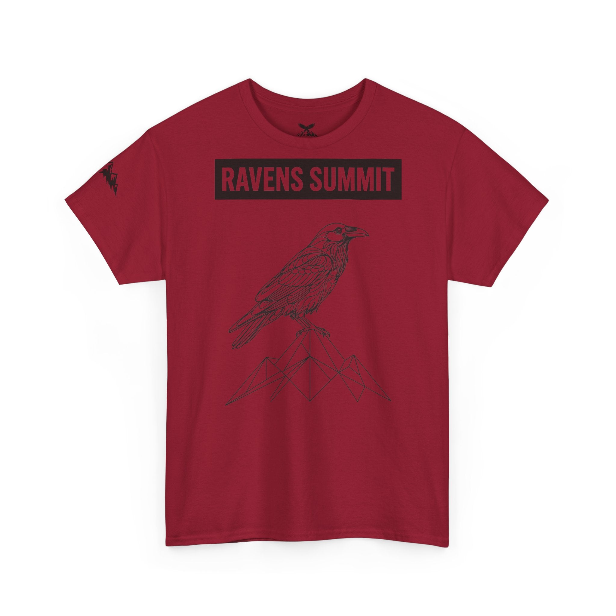 Raven Summit Tee — Minimal Mountain Raven Line Art Graphic T-Shirt