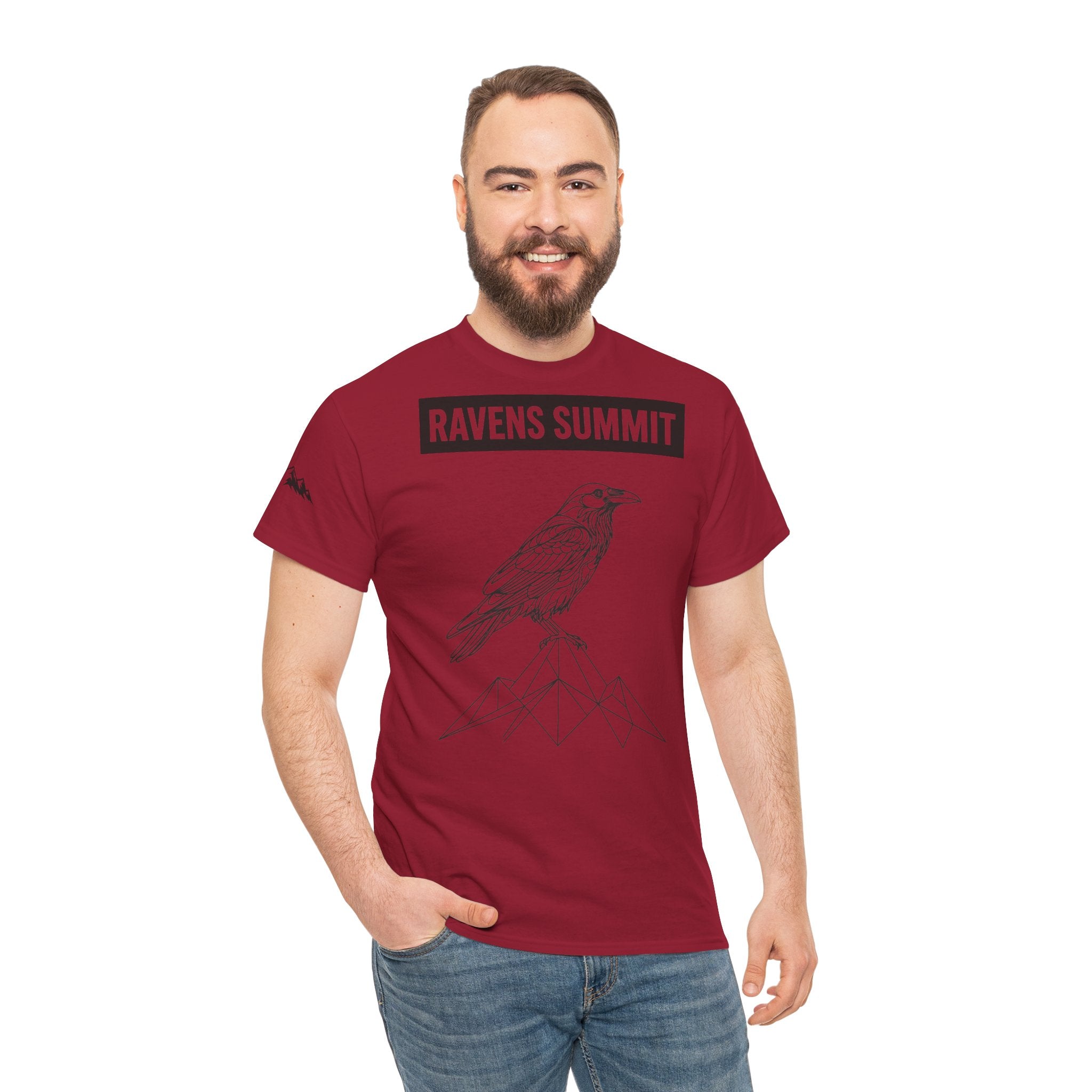Raven Summit Tee — Minimal Mountain Raven Line Art Graphic T-Shirt