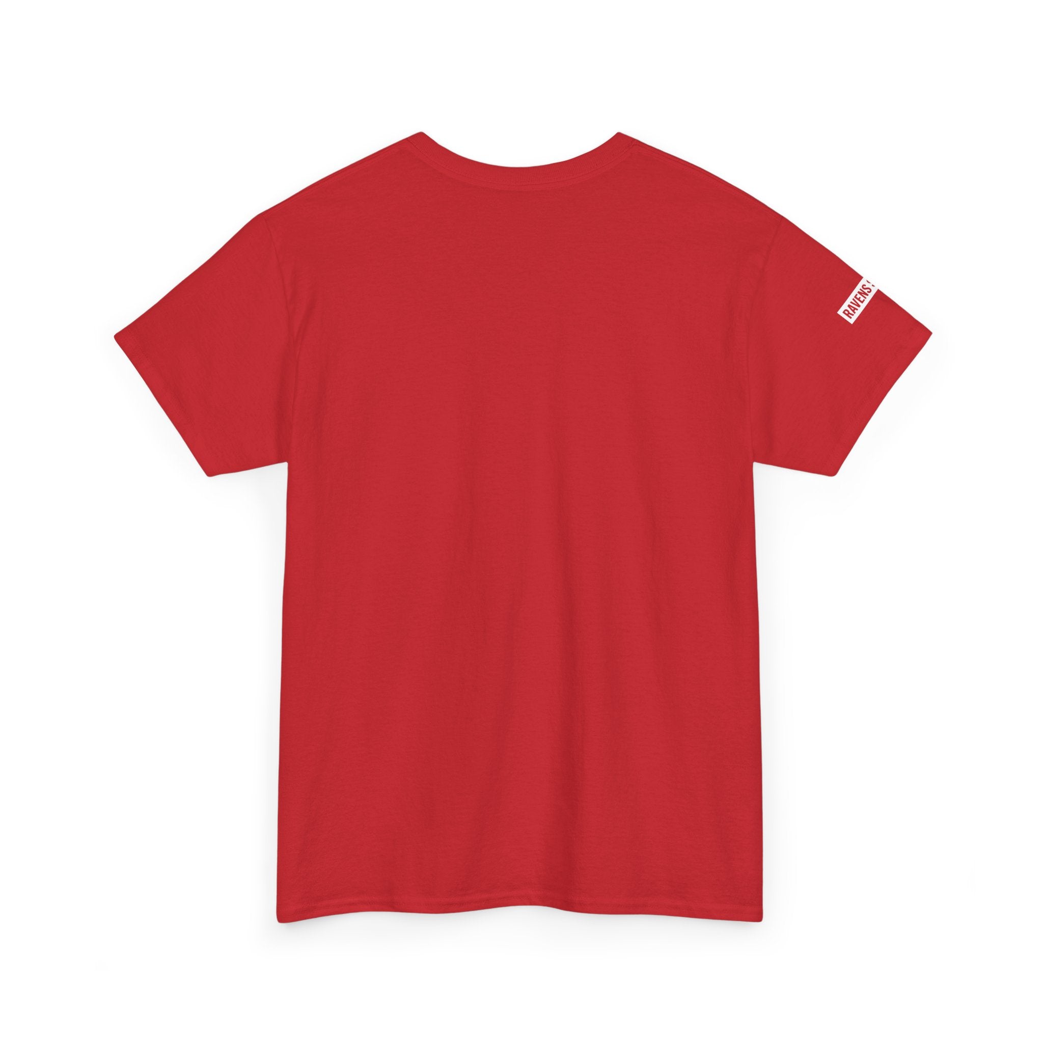 Ravens Summit Dark T-Shirt — Mountain Raven Outdoor Graphic Tee