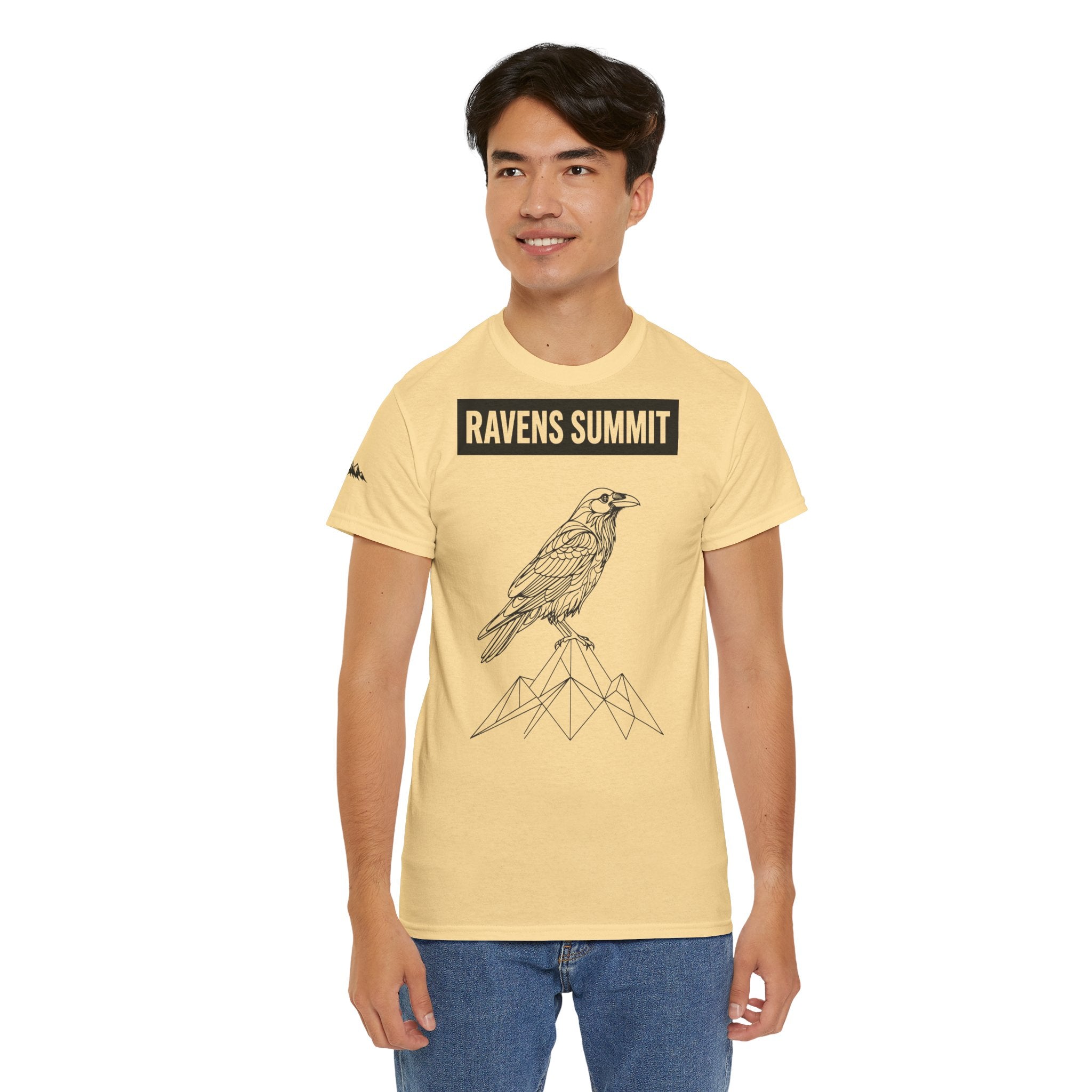 Raven Summit Tee — Minimal Mountain Raven Line Art Graphic T-Shirt