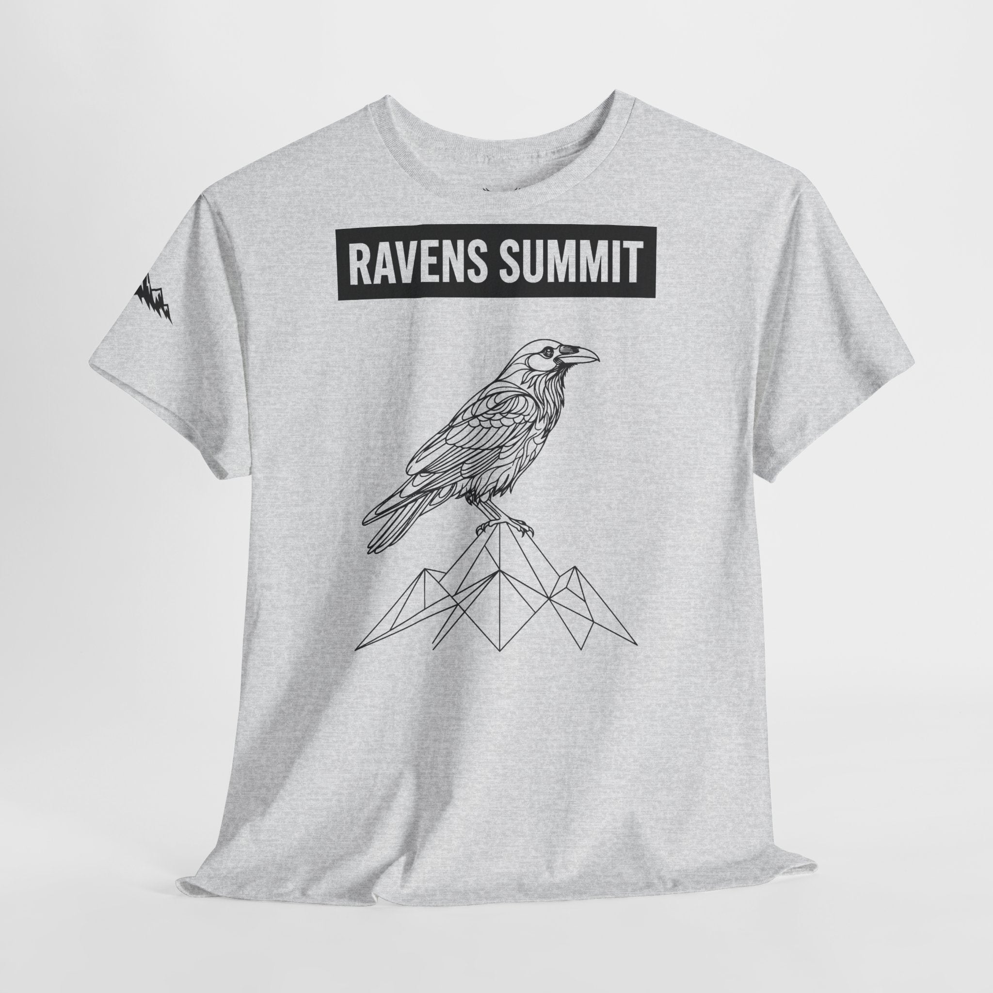 Raven Summit Tee — Minimal Mountain Raven Line Art Graphic T-Shirt