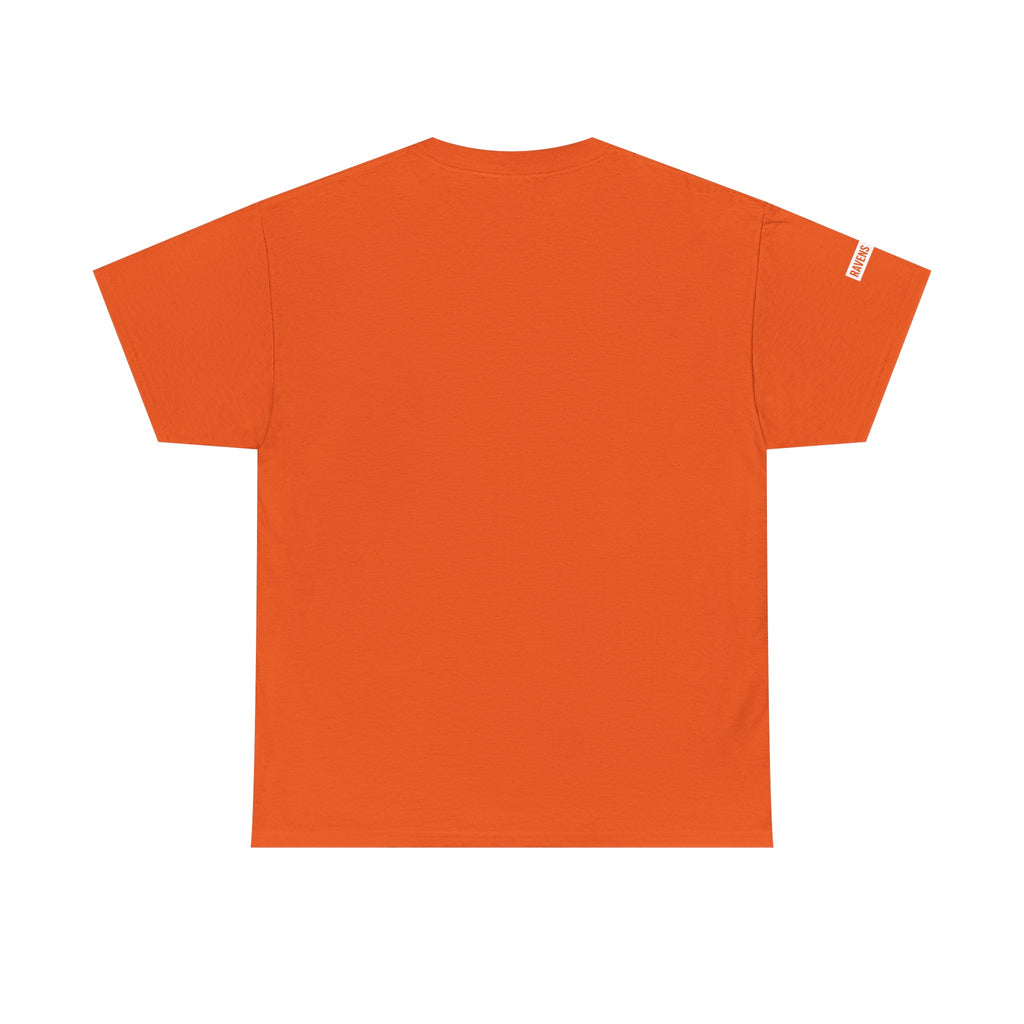 Ravens Summit Dark T-Shirt — Mountain Raven Outdoor Graphic Tee