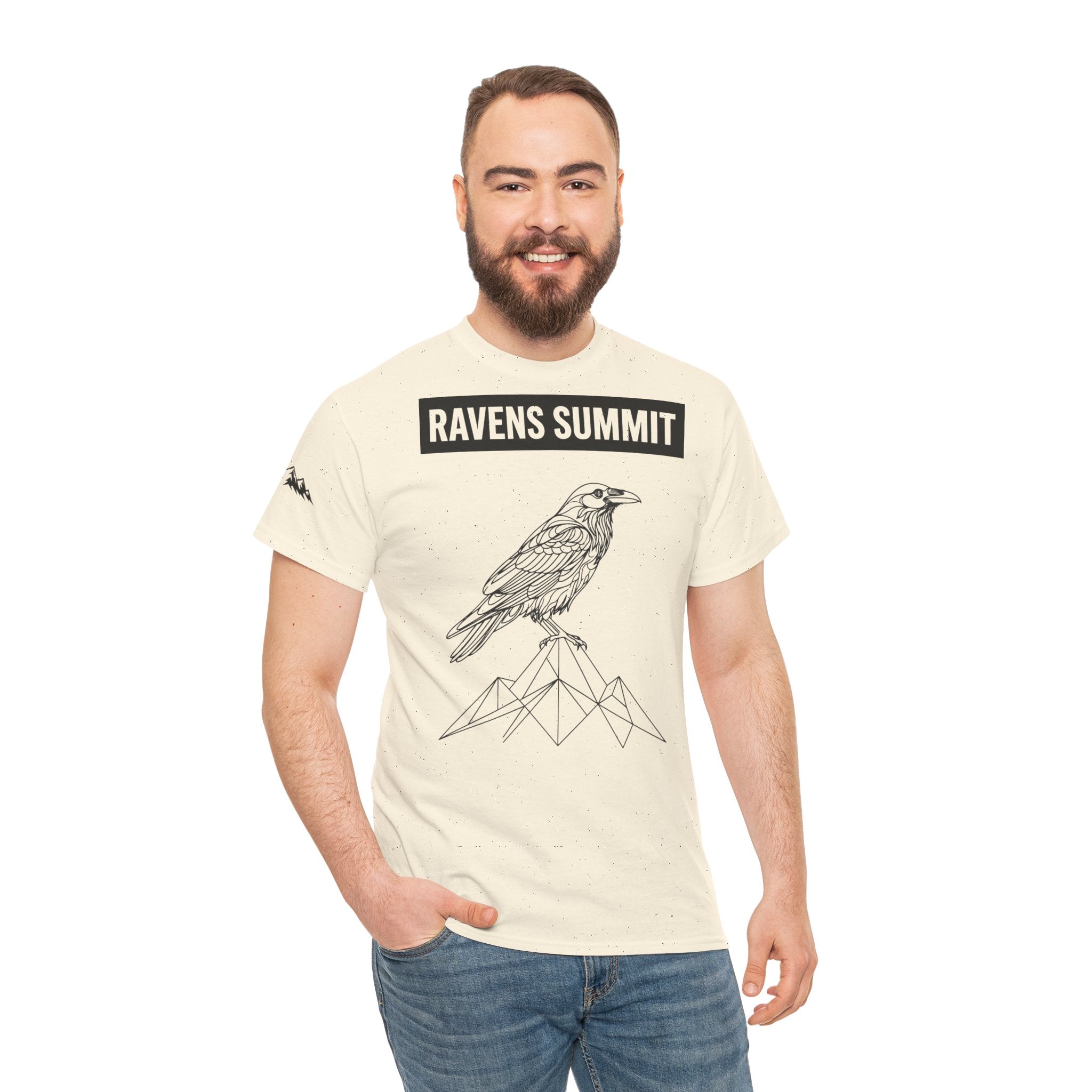 Raven Summit Tee — Minimal Mountain Raven Line Art Graphic T-Shirt